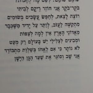 חומה סינית